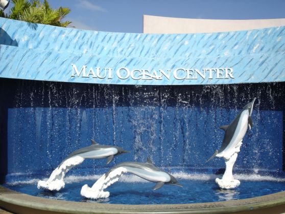 MauiOceanCenter