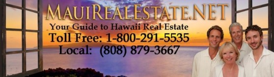 THE_BANNER_FINAL_larger8ce7ee