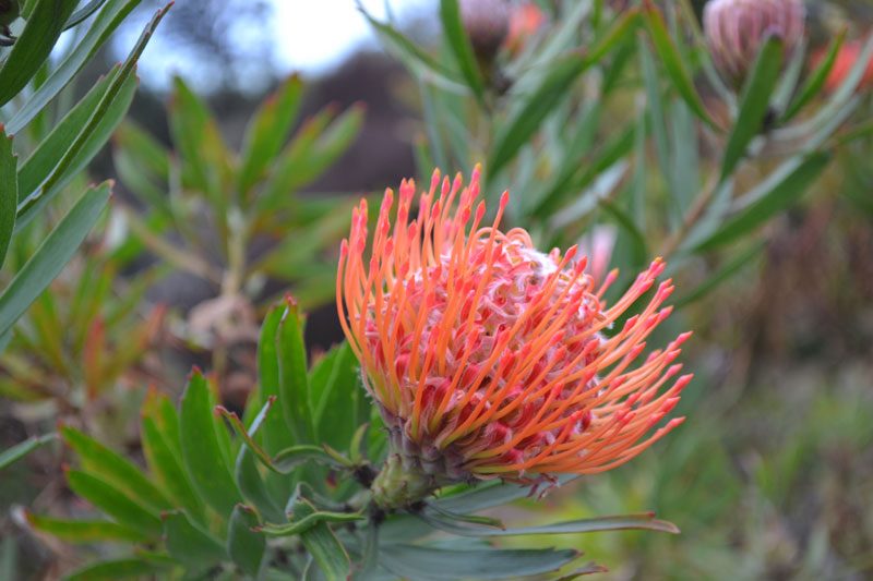 Maui with mom and daughter